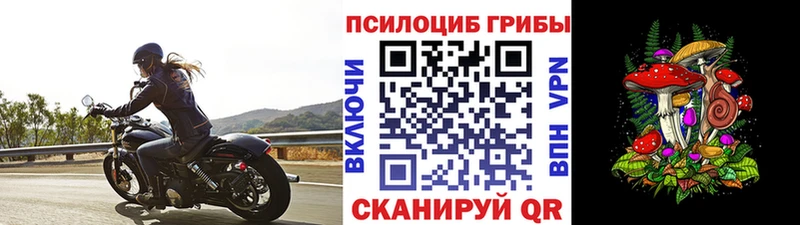 Псилоцибиновые грибы Psilocybe  кракен онион  Печоры 